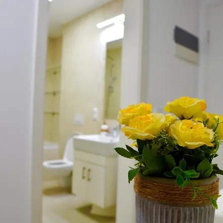 Coresi Zaharia Stancu Luxury 2 Apartment *